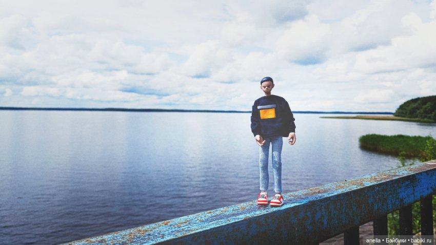 Дик. Осташков и Селигер. 1 (фото 10)