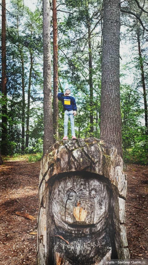 Дик. Осташков и Селигер. 1