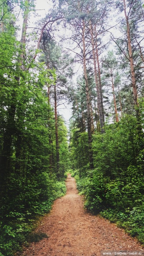 Дик. Осташков и Селигер. 1