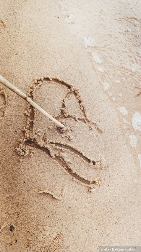 Дик. Осташков и Селигер. 1