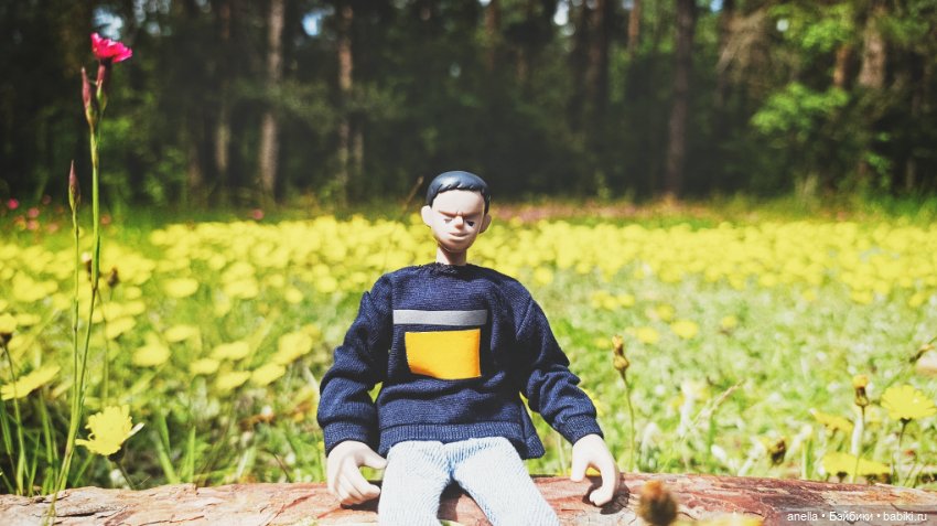 Дик. Осташков и Селигер. 1