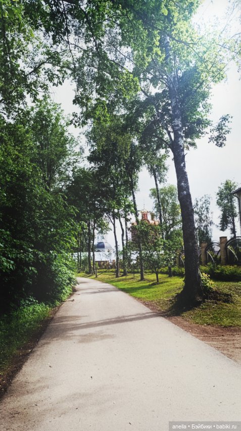 Дик. Осташков и Селигер. 2