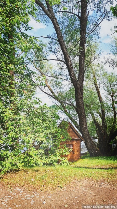 Дик. Осташков и Селигер. 2 (фото 2)