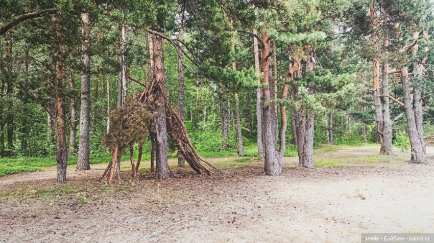 Дик. Осташков и Селигер. 1