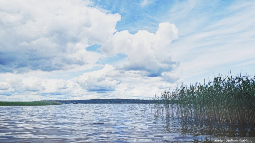 Дик. Осташков и Селигер. 1
