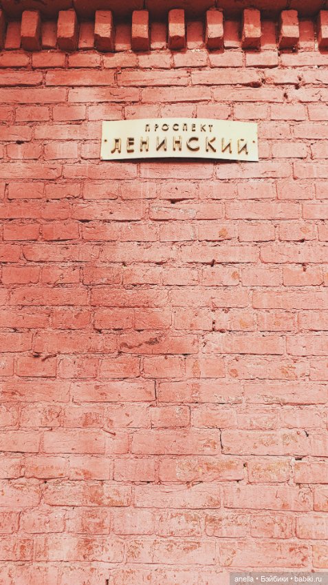 Дик. Осташков и Селигер. 2