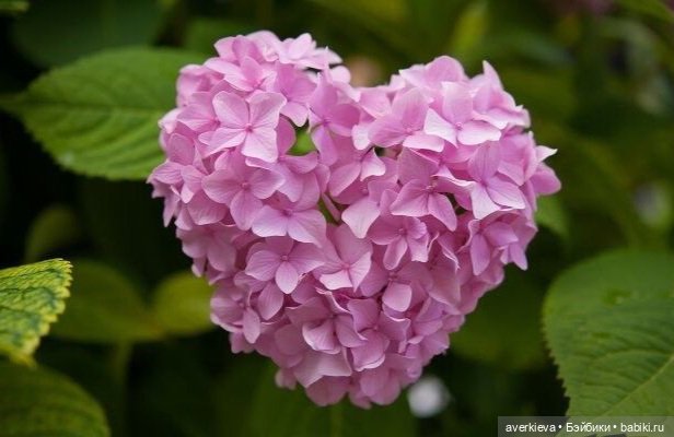 С днем рождения МЕНЯ!( традиционное, ежегодное)