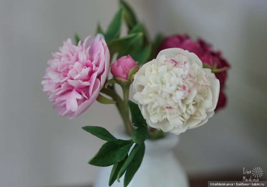 Зая и Принц. Клубничное лето (фото 2)