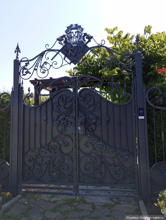 Горы. Море. Хиро — Куклы Momoko и Ruruko (Petworks