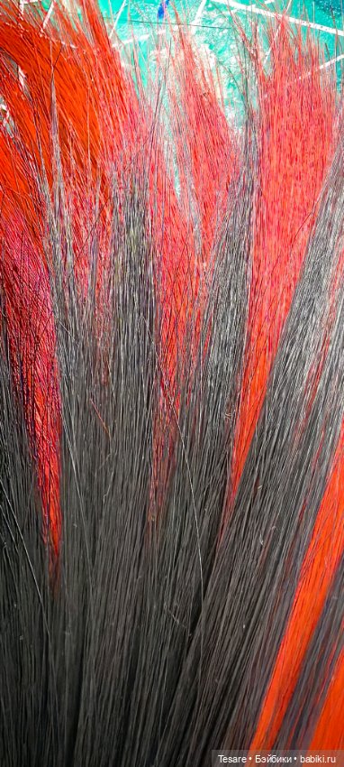 О цветах и выборе — Болталка и разговоры обо всем: жизнь