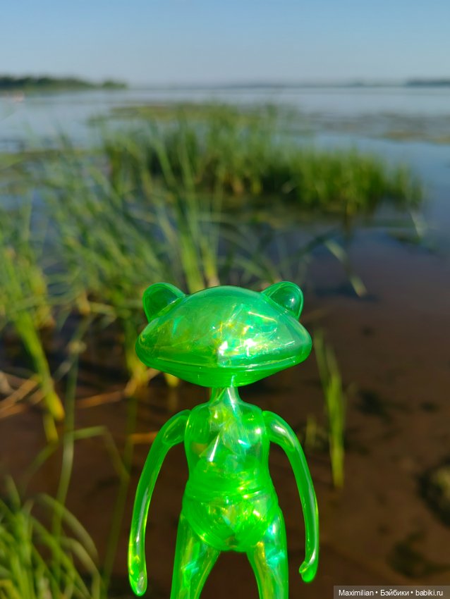 У нас новая лягушка Wonder Frog (фото 5)