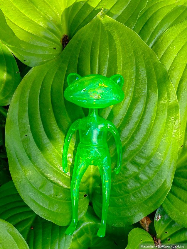 У нас новая лягушка Wonder Frog