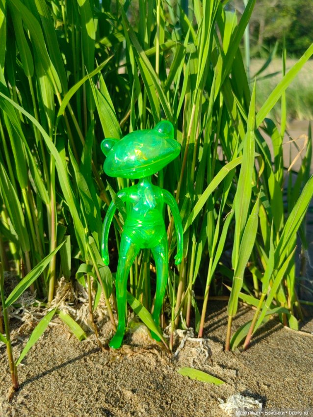 У нас новая лягушка Wonder Frog (фото 6)