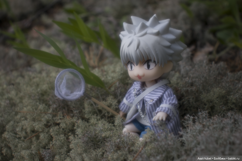 Дождливая прогулка в Карелии (фото 2)