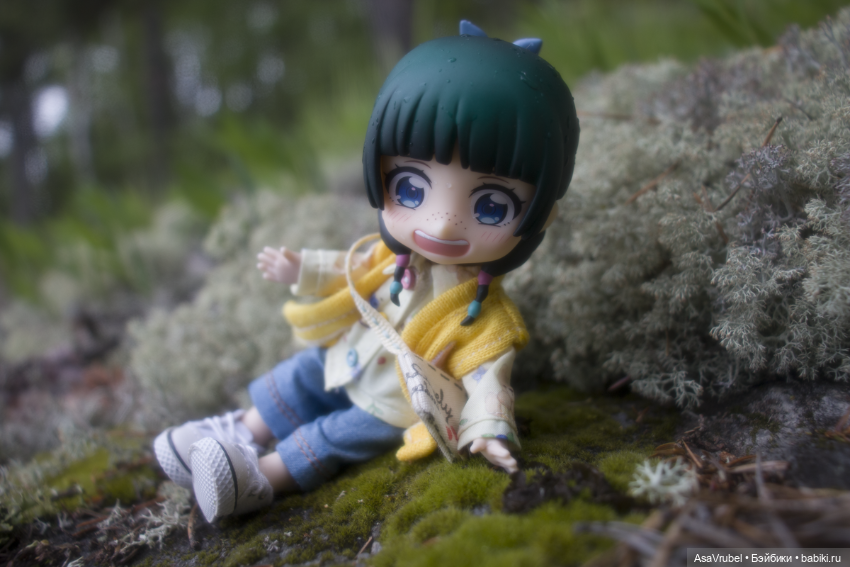 Дождливая прогулка в Карелии (фото 6)