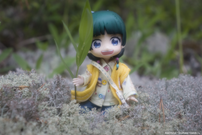 Дождливая прогулка в Карелии (фото 10)