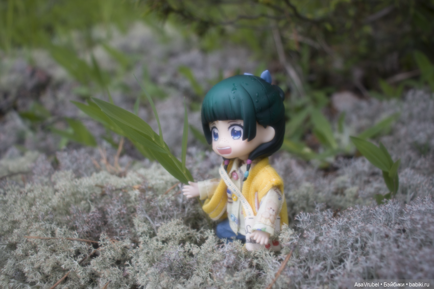 Дождливая прогулка в Карелии (фото 8)