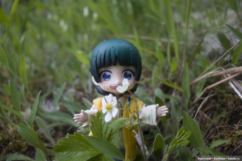 Дождливая прогулка в Карелии (фото 4)