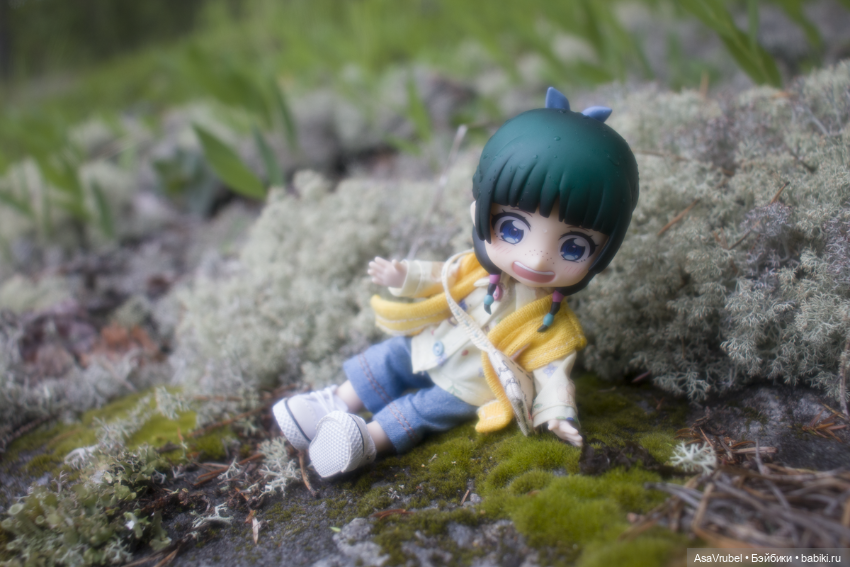 Дождливая прогулка в Карелии (фото 5)