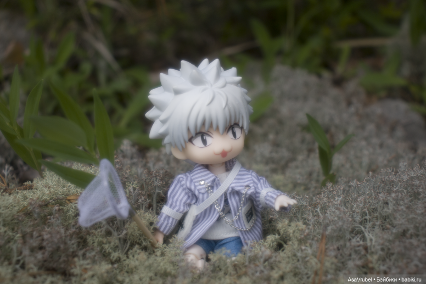 Дождливая прогулка в Карелии (фото 3)