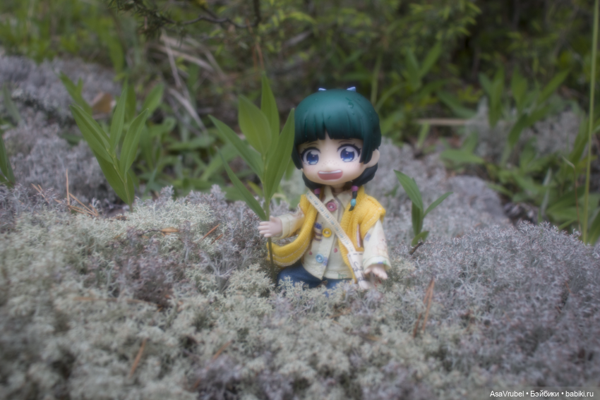 Дождливая прогулка в Карелии (фото 9)