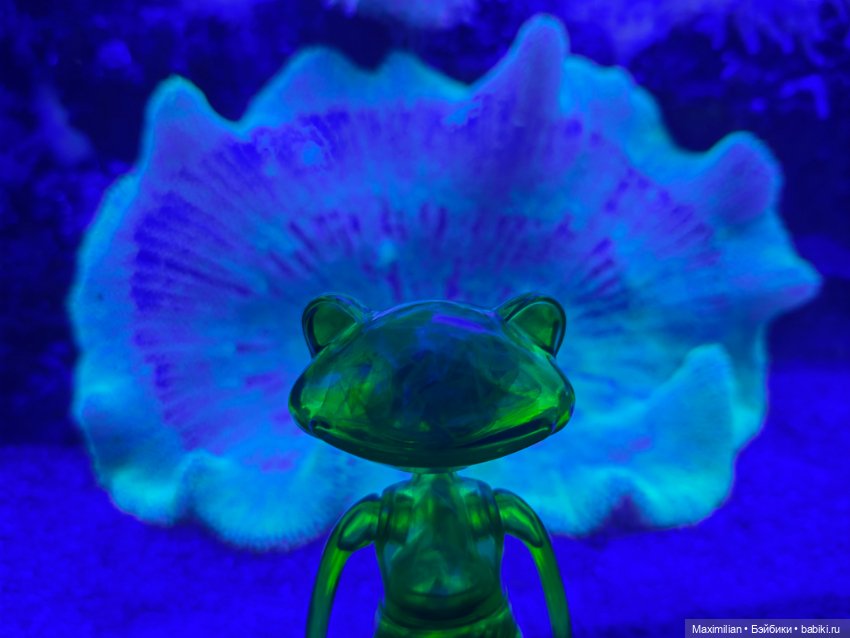 Новая лягушка Wonder Frog 2 (фото 3)