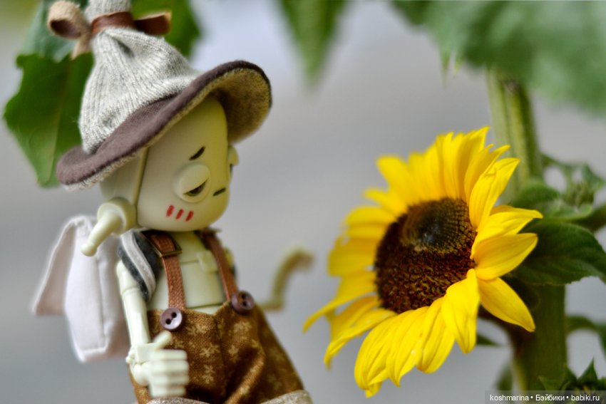 Что у него в рюкзаке — Куклы Dollzone (Доллзон): BJD (БЖД)