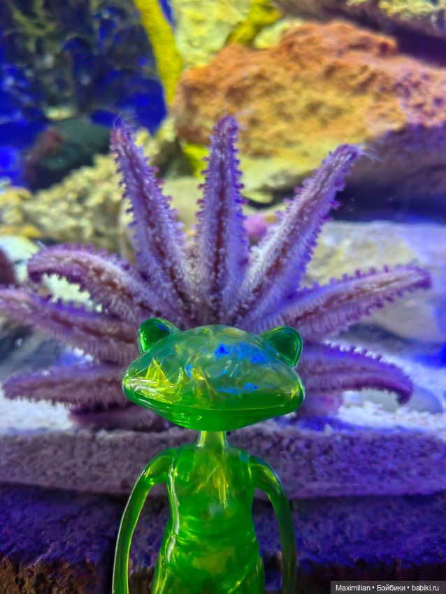 Новая лягушка Wonder Frog 2 (фото 2)