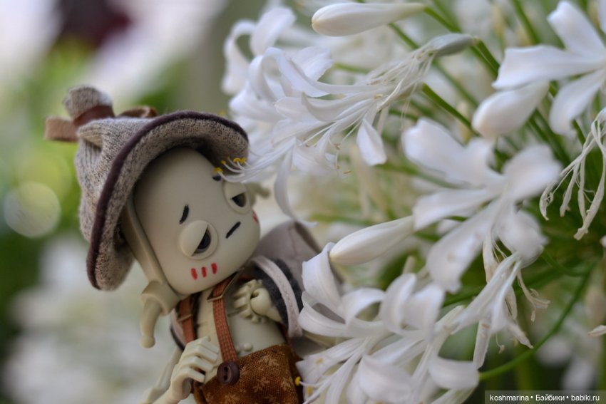 Что у него в рюкзаке — Куклы Dollzone (Доллзон): BJD (БЖД)