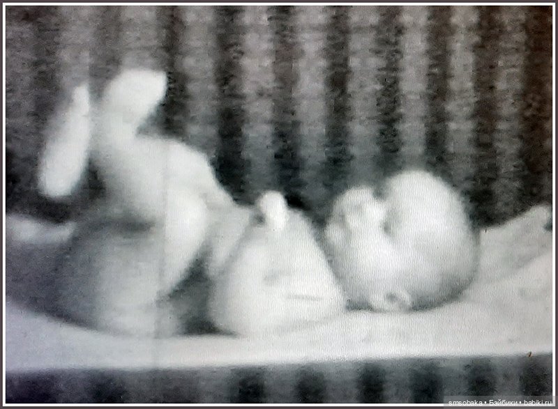 "Машина времени" назад в 1971 год. Часть 1 (фото 4)