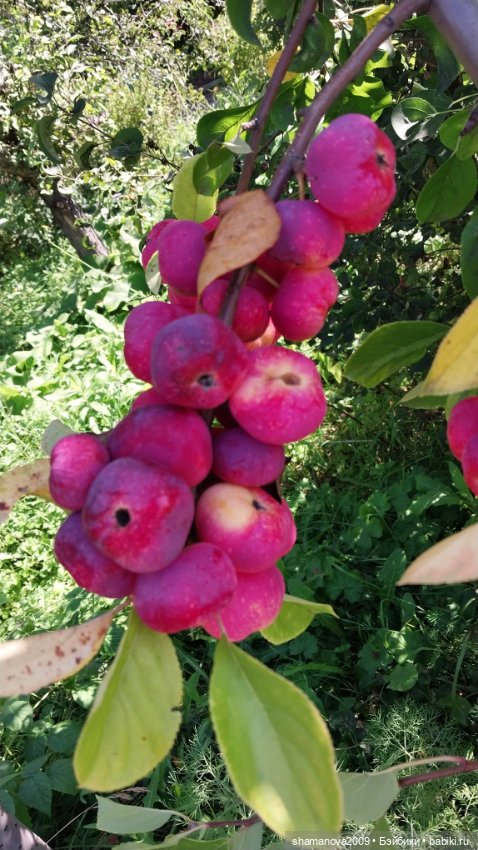 Любимая оранжерея — Туризм и путешествия: фотоотчеты из поездок