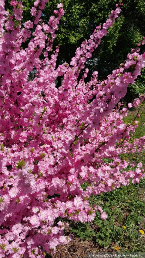 Любимая оранжерея — Туризм и путешествия: фотоотчеты из поездок (фото 6)