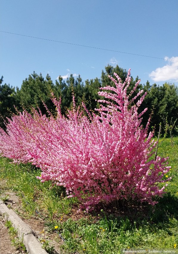Любимая оранжерея — Туризм и путешествия: фотоотчеты из поездок (фото 5)