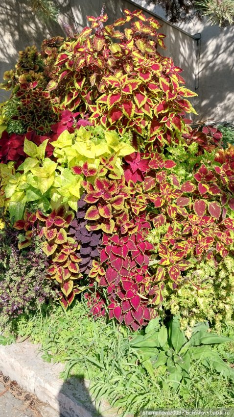 Любимая оранжерея — Туризм и путешествия: фотоотчеты из поездок