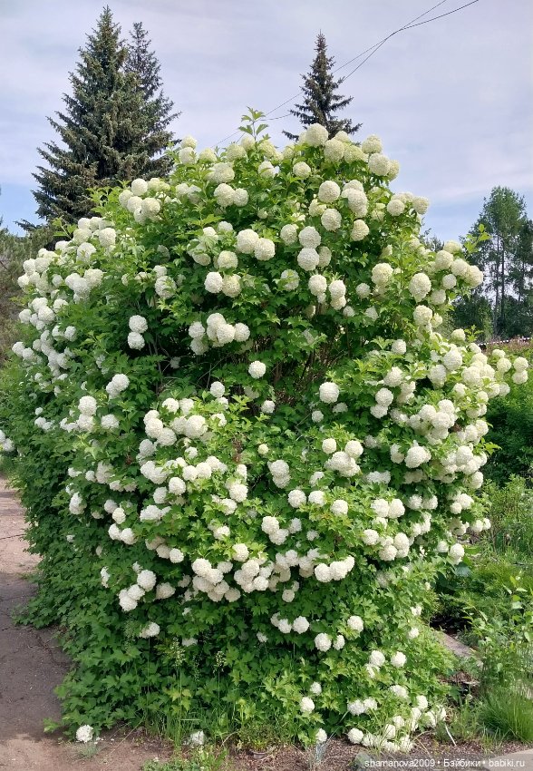 Любимая оранжерея — Туризм и путешествия: фотоотчеты из поездок (фото 2)