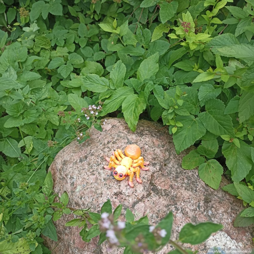 И ещë немного дачи — Игровые куклы разных производителей (Разное): редкие бренды (фото 8)