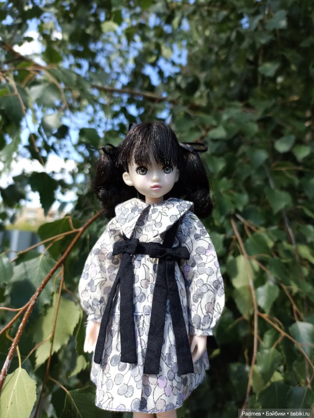 Рурушка — Куклы Momoko и Ruruko (Petworks (фото 7)