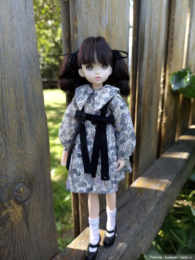 Рурушка — Куклы Momoko и Ruruko (Petworks (фото 5)