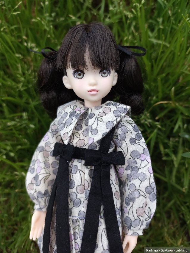 Рурушка — Куклы Momoko и Ruruko (Petworks (фото 10)