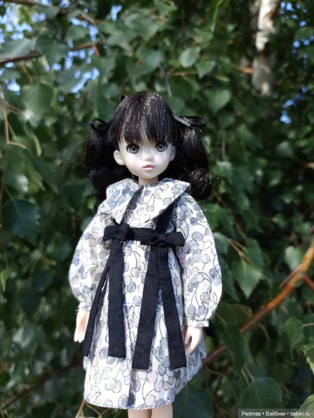 Рурушка — Куклы Momoko и Ruruko (Petworks (фото 8)