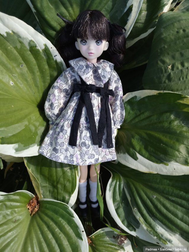 Рурушка — Куклы Momoko и Ruruko (Petworks