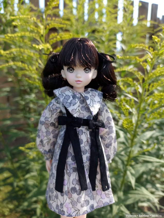 Рурушка — Куклы Momoko и Ruruko (Petworks (фото 2)