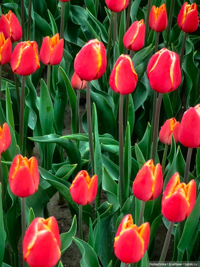 Музыкальная История 177 — Туризм и путешествия: фотоотчеты из поездок