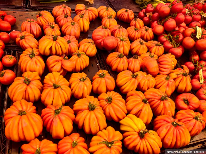 Музыкальная История 177 — Туризм и путешествия: фотоотчеты из поездок