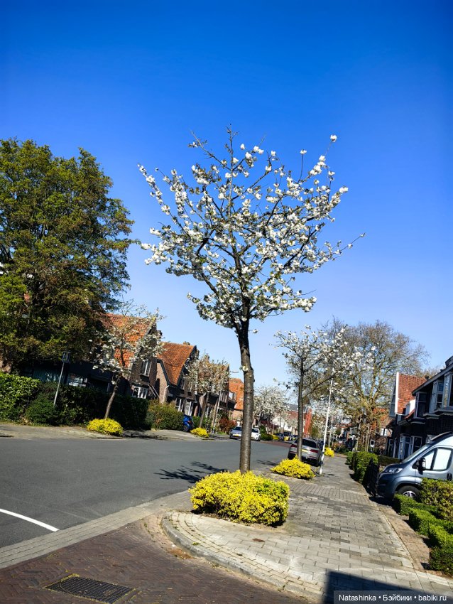 Музыкальная История 177 — Туризм и путешествия: фотоотчеты из поездок (фото 10)