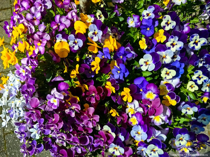 Музыкальная История 177 — Туризм и путешествия: фотоотчеты из поездок