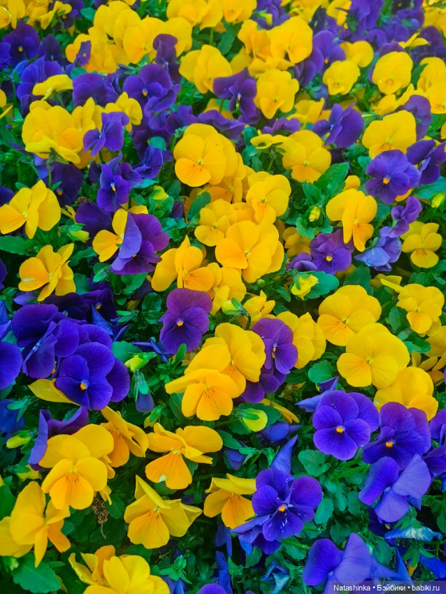 Музыкальная История 177 — Туризм и путешествия: фотоотчеты из поездок