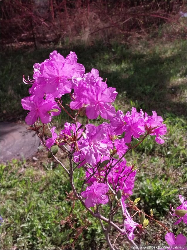 Любимая оранжерея — Туризм и путешествия: фотоотчеты из поездок