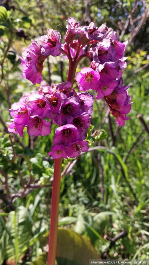 Любимая оранжерея — Туризм и путешествия: фотоотчеты из поездок