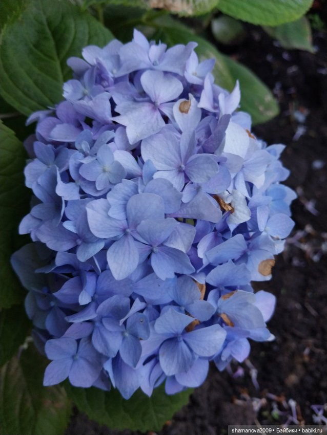 Любимая оранжерея — Туризм и путешествия: фотоотчеты из поездок